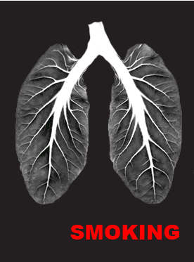 1639643527.png image.png